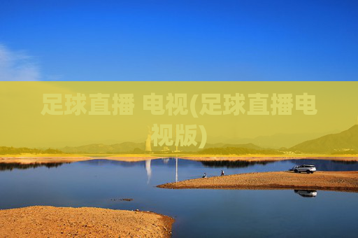 足球直播 电视(足球直播电视版)