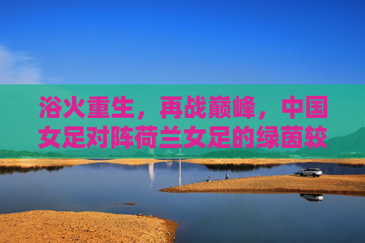 浴火重生,再战巅峰,中国女足对阵荷兰女足的绿茵较量