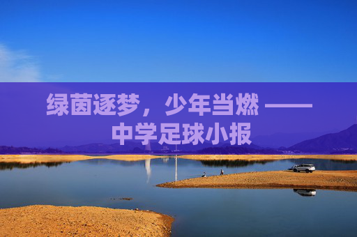 绿茵逐梦,少年当燃 —— 中学足球小报
