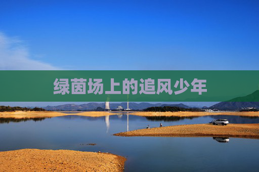 绿茵场上的追风少年