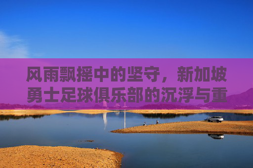 风雨飘摇中的坚守,新加坡勇士足球俱乐部的沉浮与重生