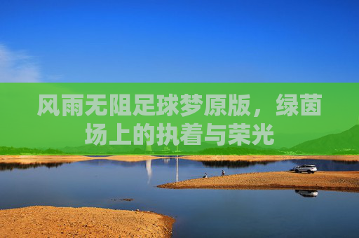风雨无阻足球梦原版,绿茵场上的执着与荣光