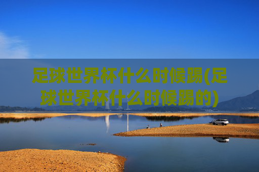 足球世界杯什么时候踢(足球世界杯什么时候踢的)