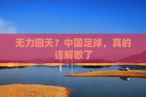 无力回天?中国足球,真的该解散了