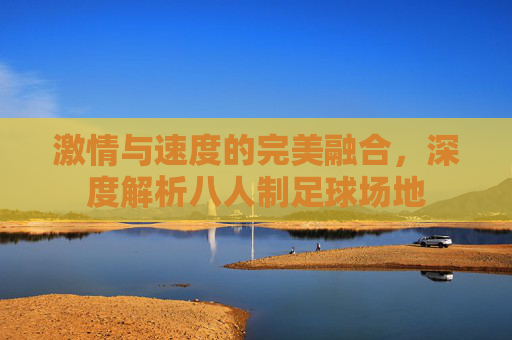 激情与速度的完美融合,深度解析八人制足球场地