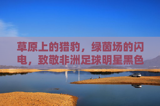 草原上的猎豹,绿茵场的闪电,致敬非洲足球明星黑色闪电