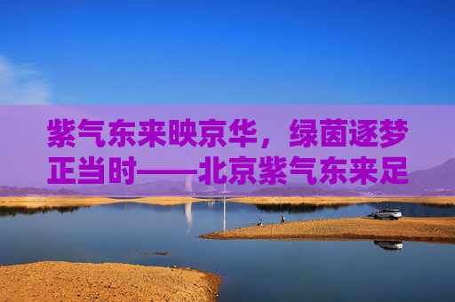 紫气东来映京华,绿茵逐梦正当时——北京紫气东来足球的文化巡礼