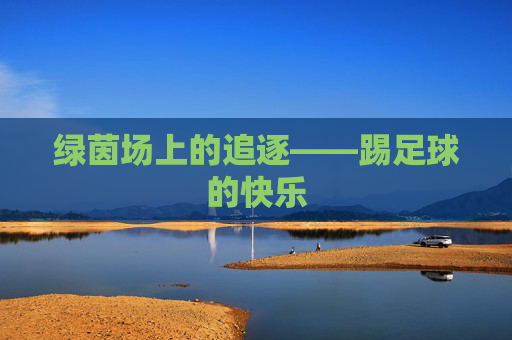 绿茵场上的追逐——踢足球的快乐