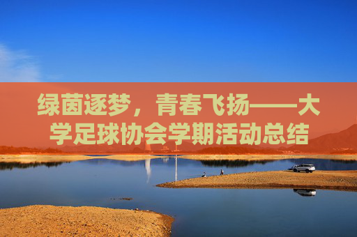 绿茵逐梦,青春飞扬——大学足球协会学期活动总结