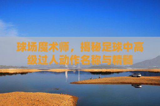 球场魔术师,揭秘足球中高级过人动作名称与精髓
