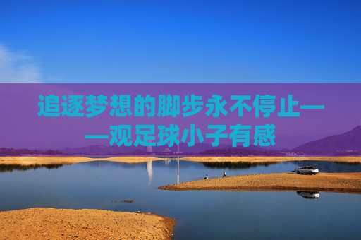 追逐梦想的脚步永不停止——观足球小子有感