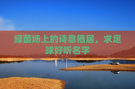绿茵场上的诗意栖居,求足球好听名字