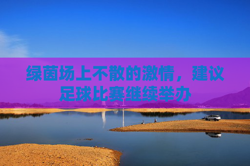 绿茵场上不散的激情,建议足球比赛继续举办