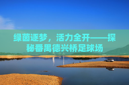 绿茵逐梦,活力全开——探秘番禺德兴桥足球场