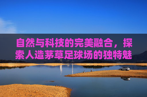 自然与科技的完美融合,探索人造茅草足球场的独特魅力