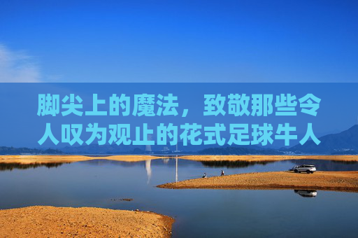 脚尖上的魔法，致敬那些令人叹为观止的花式足球牛人
