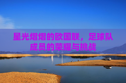 星光熠熠的欧国联,足球队成员的荣耀与挑战