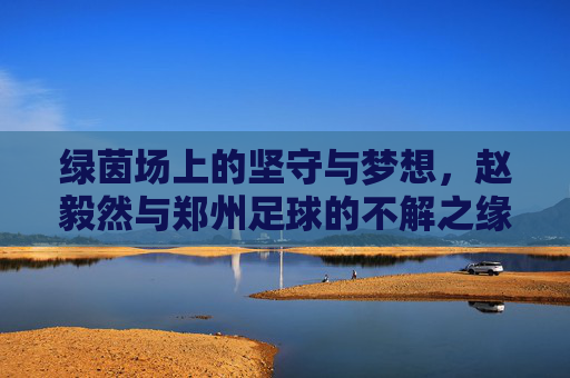 绿茵场上的坚守与梦想,赵毅然与郑州足球的不解之缘