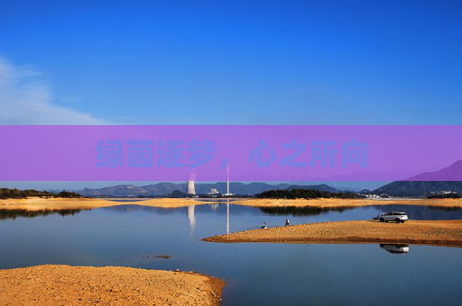 绿茵逐梦,心之所向