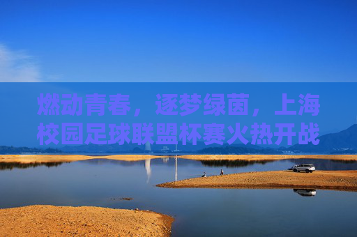 燃动青春,逐梦绿茵,上海校园足球联盟杯赛火热开战