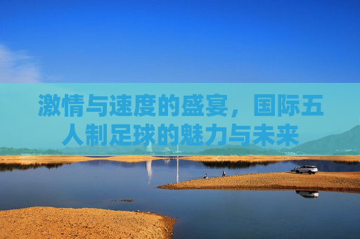 激情与速度的盛宴,国际五人制足球的魅力与未来