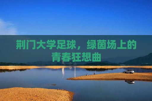荆门大学足球,绿茵场上的青春狂想曲
