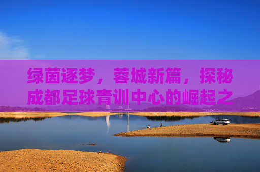 绿茵逐梦,蓉城新篇,探秘成都足球青训中心的崛起之路