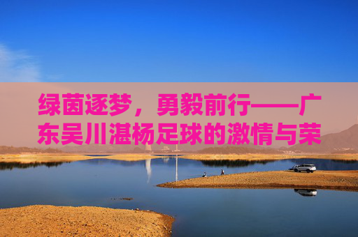 绿茵逐梦,勇毅前行——广东吴川湛杨足球的激情与荣光