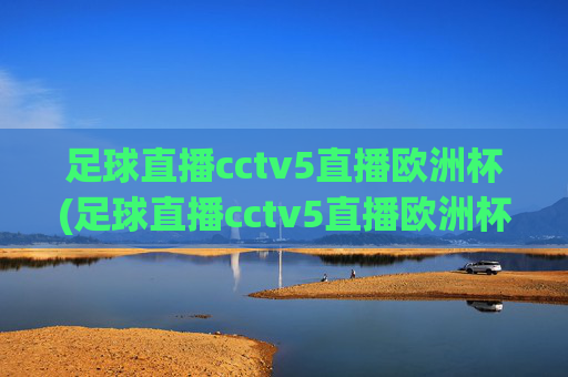 足球直播cctv5直播欧洲杯(足球直播cctv5直播欧洲杯比赛)