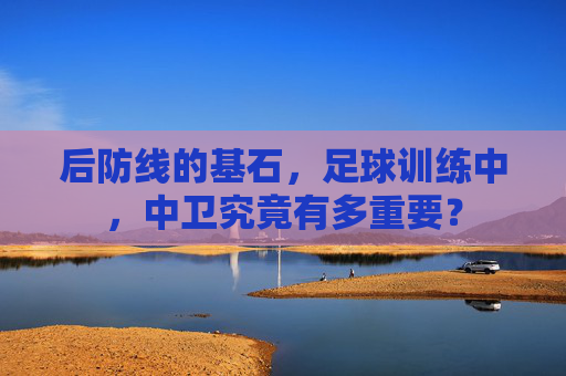 后防线的基石,足球训练中,中卫究竟有多重要?