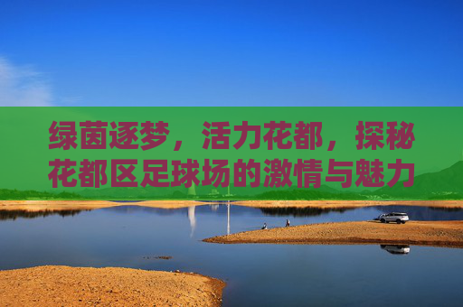 绿茵逐梦，活力花都，探秘花都区足球场的激情与魅力