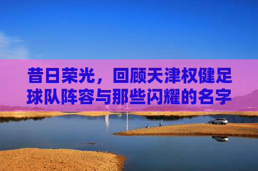 昔日荣光,回顾天津权健足球队阵容与那些闪耀的名字
