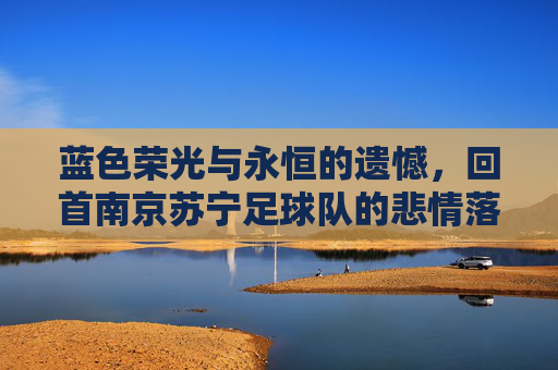 蓝色荣光与永恒的遗憾,回首南京苏宁足球队的悲情落幕