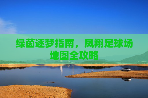 绿茵逐梦指南,凤翔足球场地图全攻略