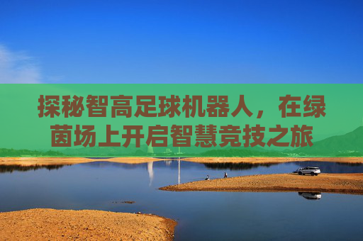 探秘智高足球机器人,在绿茵场上开启智慧竞技之旅