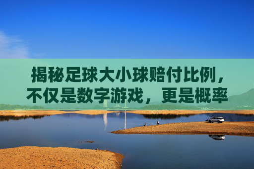 揭秘足球大小球赔付比例,不仅是数字游戏,更是概率博弈
