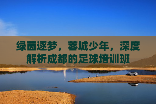 绿茵逐梦,蓉城少年,深度解析成都的足球培训班