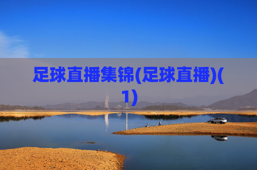 足球直播集锦(足球直播)(1)