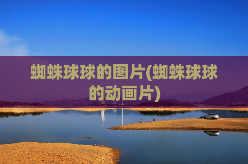蜘蛛球球的图片(蜘蛛球球的动画片)