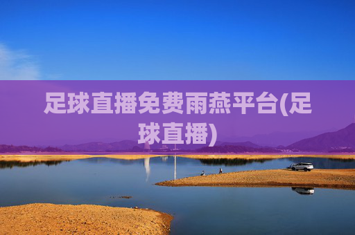 足球直播免费雨燕平台(足球直播)