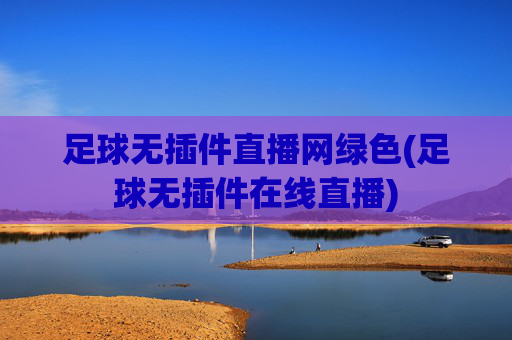 足球无插件直播网绿色(足球无插件在线直播)