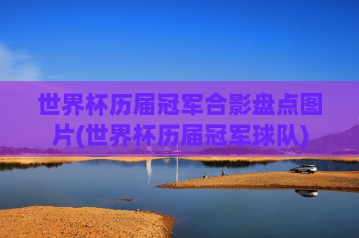 世界杯历届冠军合影盘点图片(世界杯历届冠军球队)