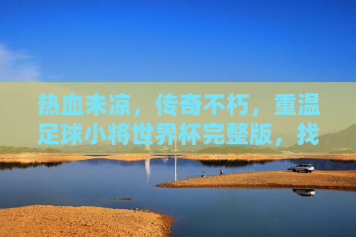 热血未凉,传奇不朽,重温足球小将世界杯完整版,找回少年的热血与梦想