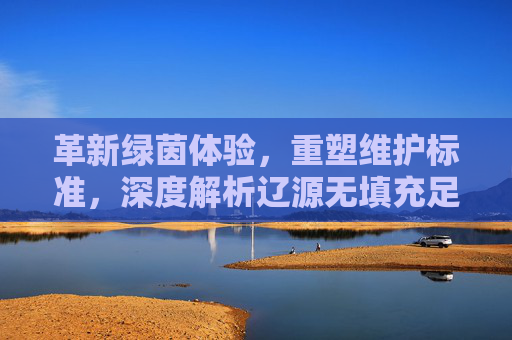 革新绿茵体验,重塑维护标准,深度解析辽源无填充足球草