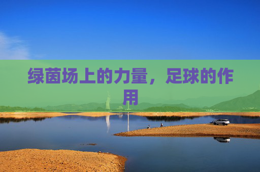 绿茵场上的力量,足球的作用