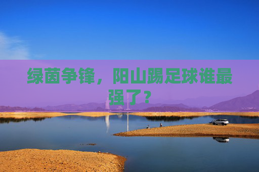 绿茵争锋,阳山踢足球谁最强了?