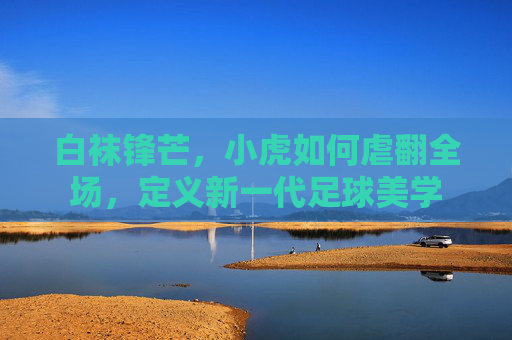 白袜锋芒，小虎如何虐翻全场，定义新一代足球美学
