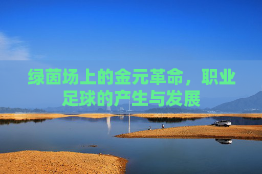 绿茵场上的金元革命,职业足球的产生与发展