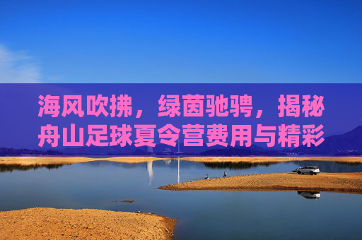 海风吹拂，绿茵驰骋，揭秘舟山足球夏令营费用与精彩亮点