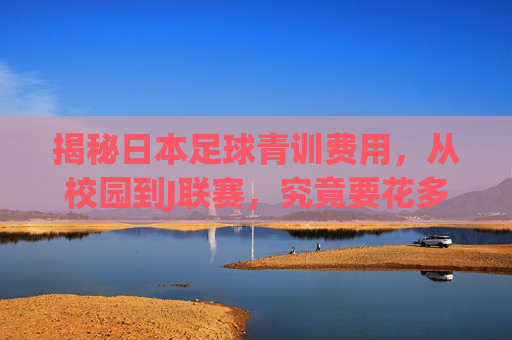 揭秘日本足球青训费用,从校园到J联赛,究竟要花多少钱?